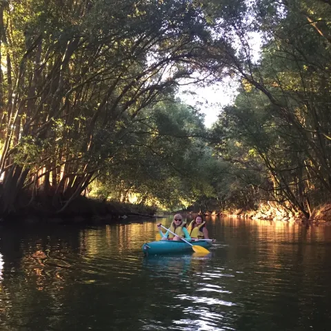 a small boat in a body of water surrounded by trees