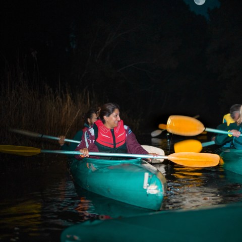 a group of people riding on the back of a boat